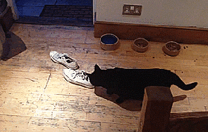 健身防滑手套_鍛煉用防滑手套_健身防滑手套推薦