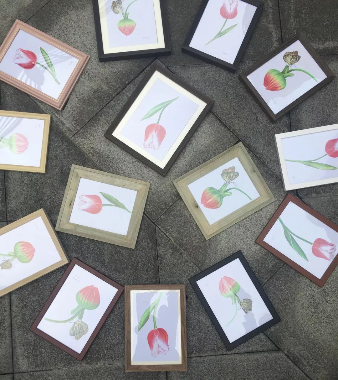 加加油慢動作分解教學_加油amigo分解_加油操分解動作