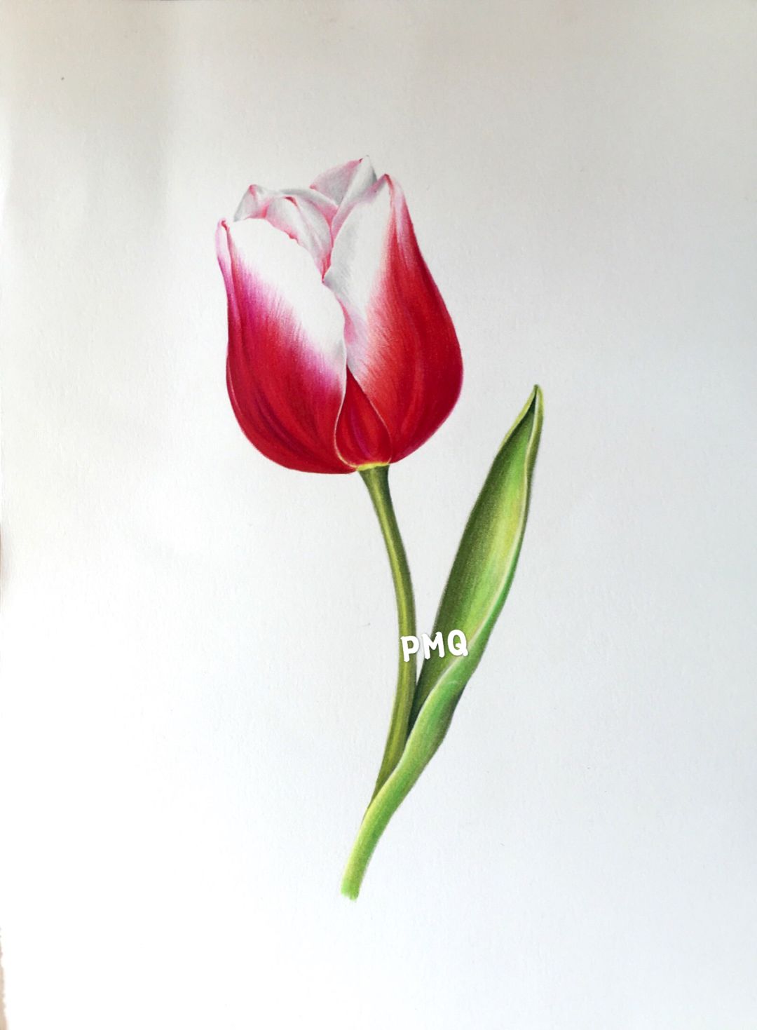 加油amigo分解_加加油慢動作分解教學_加油操分解動作