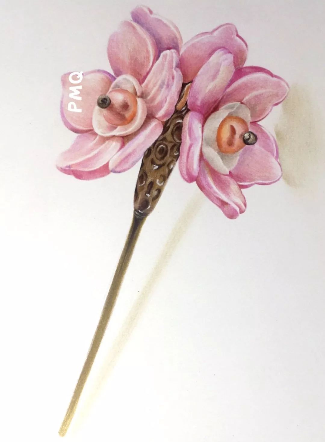 加加油慢動作分解教學_加油amigo分解_加油操分解動作