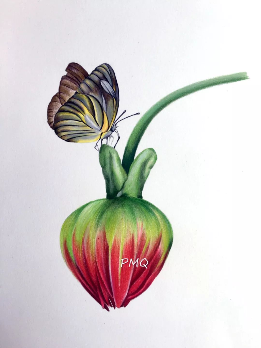 加加油慢動作分解教學_加油操分解動作_加油amigo分解