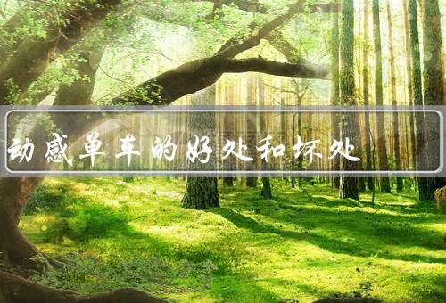 動(dòng)感單車的好處和壞處，鍛煉效果顯著／燃燒卡路里／隨時(shí)隨地鍛煉