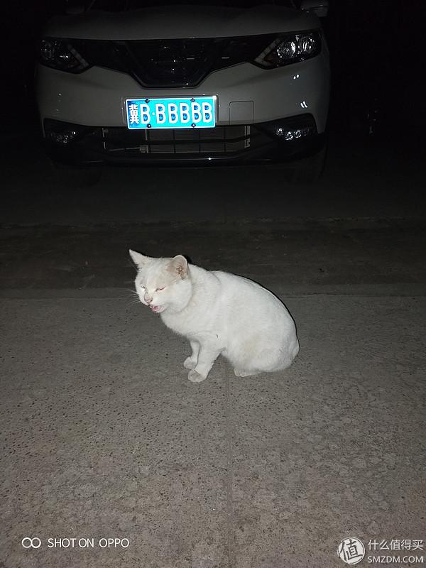 不用流量的手機計步器_免流量計步器軟件哪個好用_省電省流量的計步器