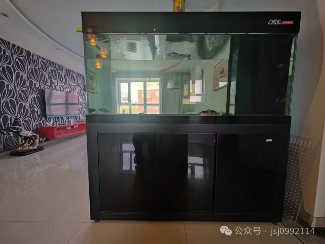 牌子跑步機(jī)萬元好還是千元_一萬元跑步機(jī)什么牌子好_跑步機(jī)好一點(diǎn)的牌子