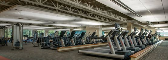 家用跑步機什么牌好知乎_家用跑步機質量排名十大跑步機_家用跑步機那個品牌好