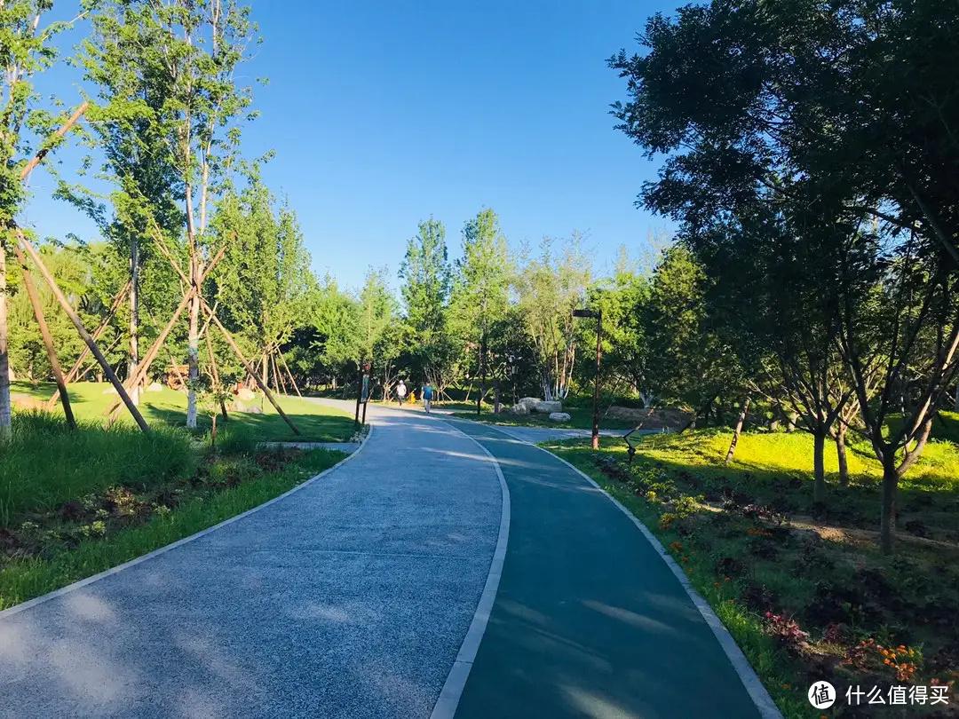 健身床有什么功效_多功能健身床是啥樣的_多功能健身床