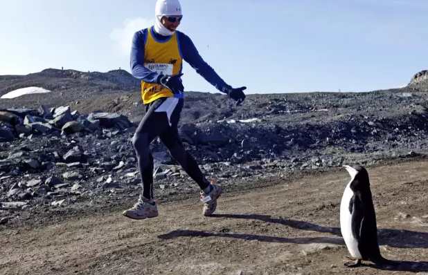 kaiyun體育登錄網(wǎng)頁入口 跑場馬用掉23萬？看看土豪們怎么在跑步這件事上揮金如土的吧...