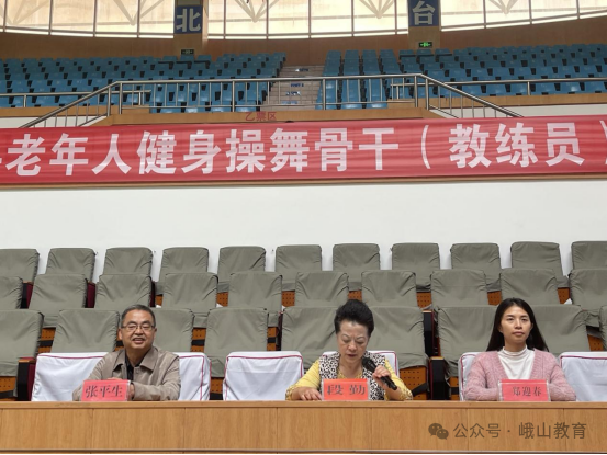 體操健身老年人教學(xué)視頻_老年人健身體操_體操健身老年人視頻大全