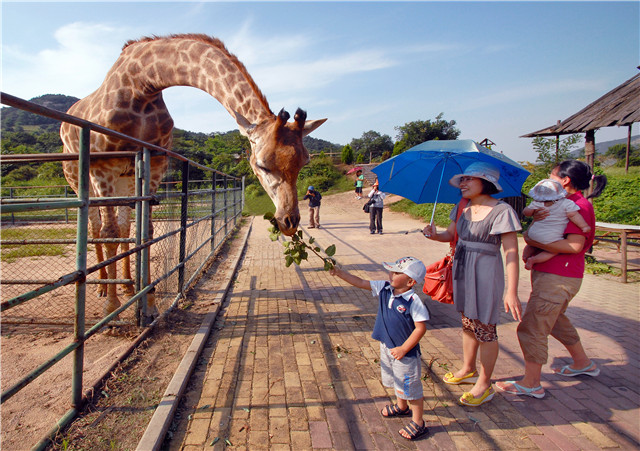 青島康大豪生婚宴_青島康大豪生大酒店_青島康大豪生酒店spa怎么樣