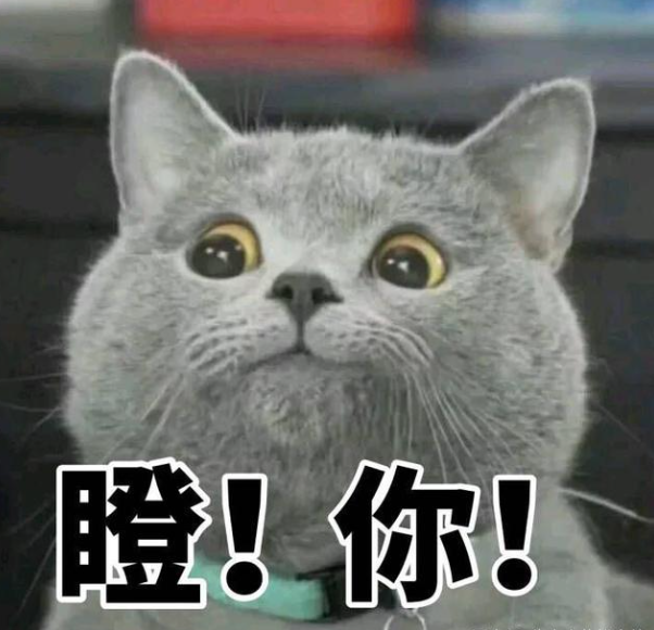 集中精力看書_集中注意力看書就犯困_看書不能注意力集中