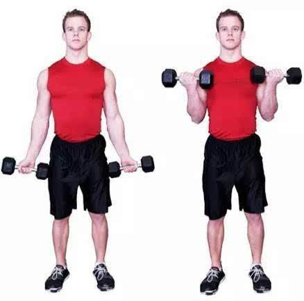 健身瑜伽墊_瑜伽健身墊什么材質(zhì)好_瑜伽健身墊哪個(gè)牌子好