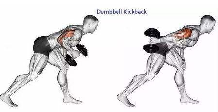 瑜伽健身墊什么材質(zhì)好_健身瑜伽墊_瑜伽健身墊哪個(gè)牌子好