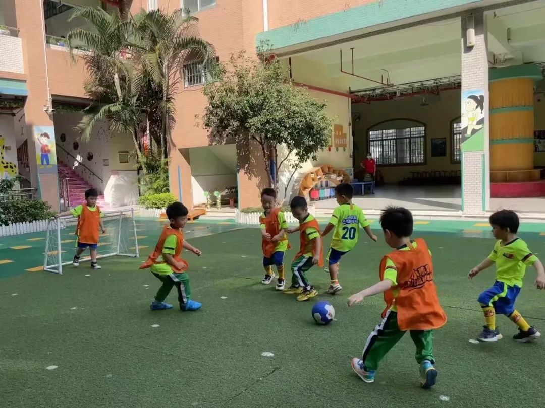 體育鍛煉對(duì)系統(tǒng)具有一定影響_體育鍛煉對(duì)運(yùn)動(dòng)系統(tǒng)有哪些影響_體育鍛煉對(duì)運(yùn)動(dòng)系統(tǒng)發(fā)展的作用