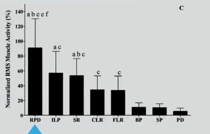 怎樣練好三角肌后束，達(dá)到自然外翻的效果？