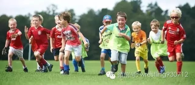 體育鍛煉對系統(tǒng)具有一定影響_體育鍛煉對運動系統(tǒng)有哪些影響_體育鍛煉對運動系統(tǒng)發(fā)展的作用