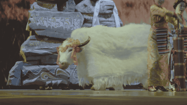 廣場(chǎng)舞愛(ài)你錯(cuò)錯(cuò)錯(cuò)_廣場(chǎng)舞愛(ài)你一百歲_廣場(chǎng)舞愛(ài)在思金拉措