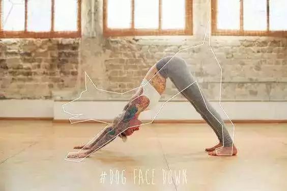 pg娛樂(lè)電子游戲 你不可不知的瑜伽「下犬式」，竟然可以輕松瘦腿？！