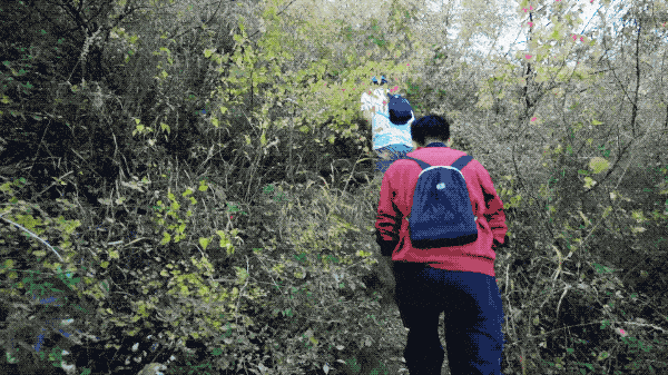 體重過大適合什么運動_大體重適合運動減肥嗎_體重運動適合過大的人嗎