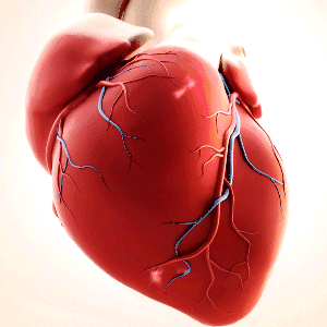 力量訓(xùn)練機(jī)器_綜合力量訓(xùn)練器安裝_力量綜合訓(xùn)練器