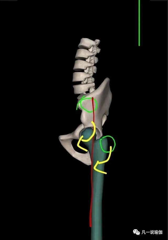 假胯寬可以做正骨糾正嗎_假胯寬可以用骨盆帶嗎_假胯寬可以做骨盆修復嗎