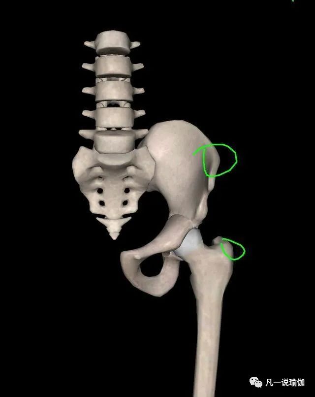 假胯寬可以做骨盆修復嗎_假胯寬可以用骨盆帶嗎_假胯寬可以做正骨糾正嗎