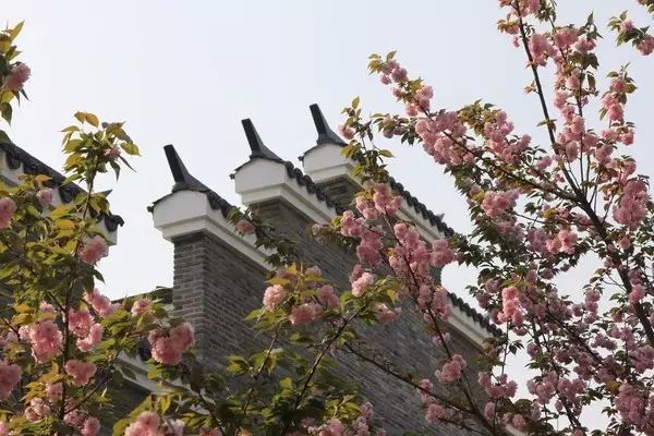 視頻心事廣場(chǎng)蓮舞32步_蓮的心事廣場(chǎng)舞視頻_廣場(chǎng)舞蓮的心事十六步