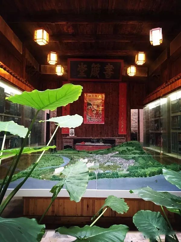 蓮的心事廣場(chǎng)舞視頻_視頻心事廣場(chǎng)蓮舞32步_廣場(chǎng)舞蓮的心事十六步