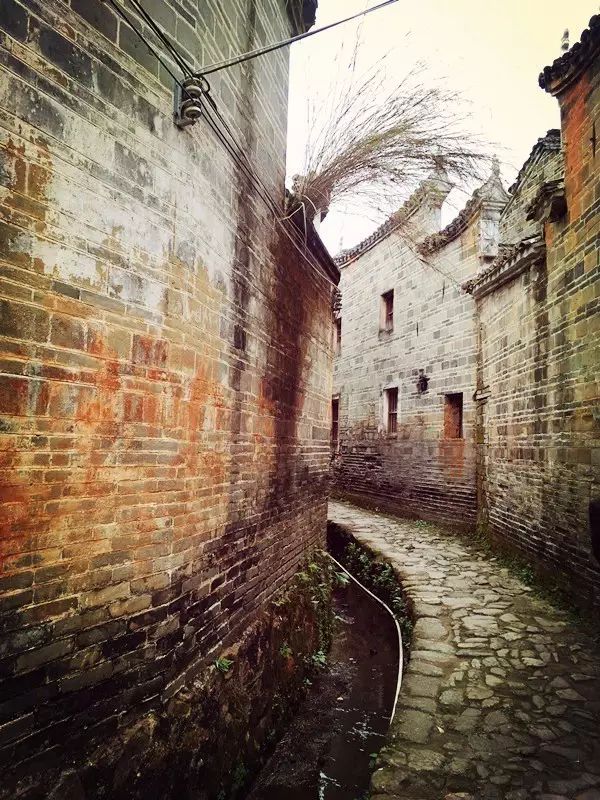 視頻心事廣場(chǎng)蓮舞32步_廣場(chǎng)舞蓮的心事十六步_蓮的心事廣場(chǎng)舞視頻