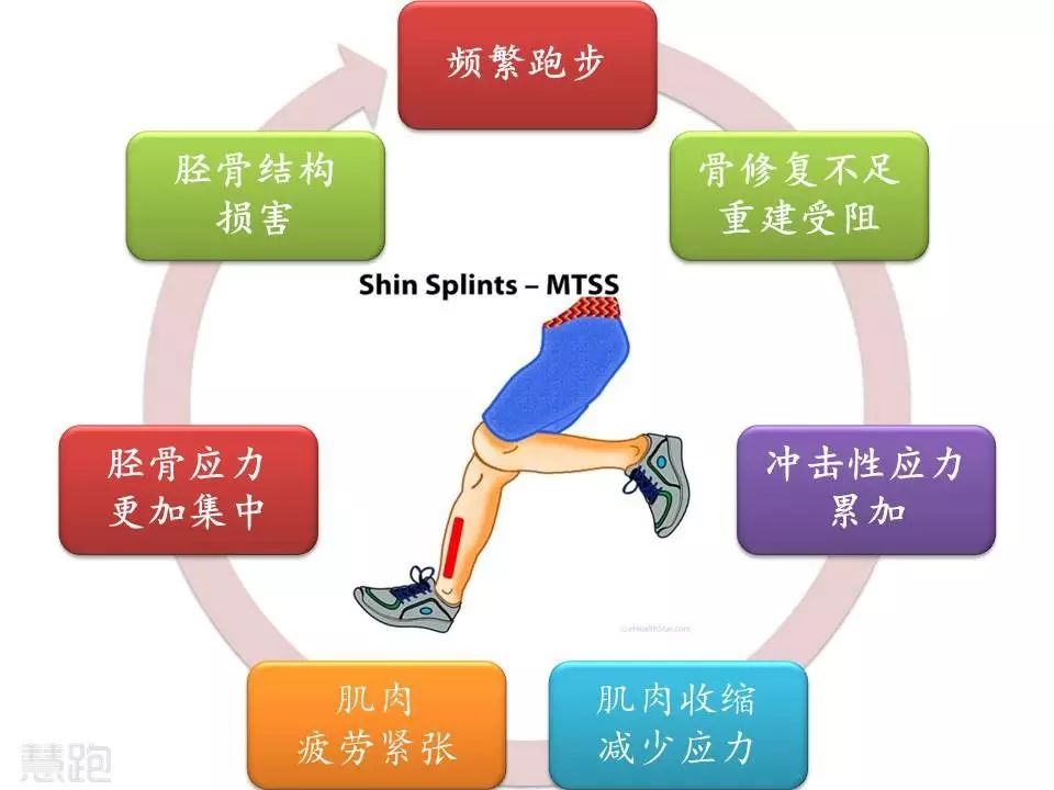 左腳小腿肌肉老是跳_老左腳肌肉腿跳小是咋回事_左腳小腿跳動(dòng)