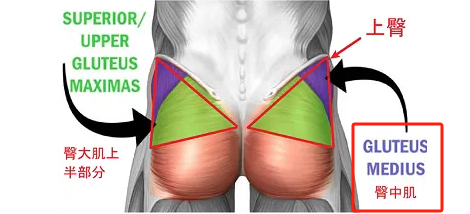 健身手套牌子_手套健身推薦品牌排行榜_健身手套品牌 推薦