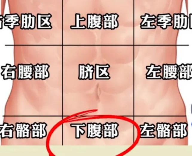 手套健身推薦品牌排行榜_健身手套品牌 推薦_健身手套牌子