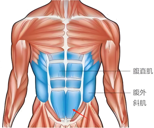 健身手套牌子_手套健身推薦品牌排行榜_健身手套品牌 推薦