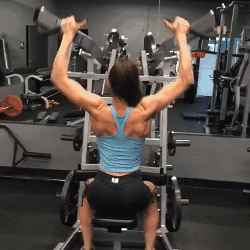 健身房固定器械區(qū)簡(jiǎn)介_(kāi)健身房固定器械名稱大全_健身房固定器械訓(xùn)練計(jì)劃表