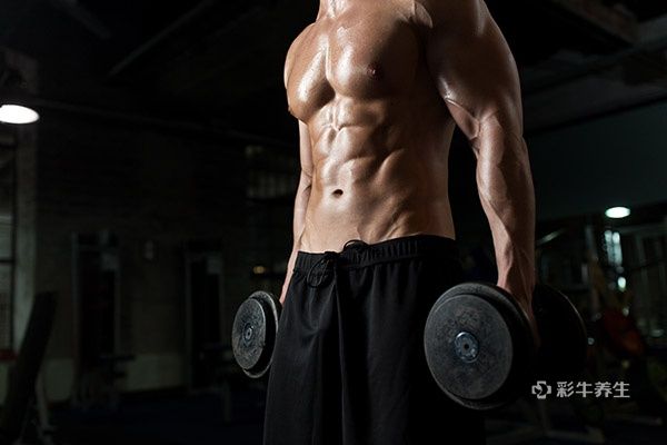胸肌鍛煉教程_鍛煉胸大肌最有效的方法_胸肌訓(xùn)練動作大全