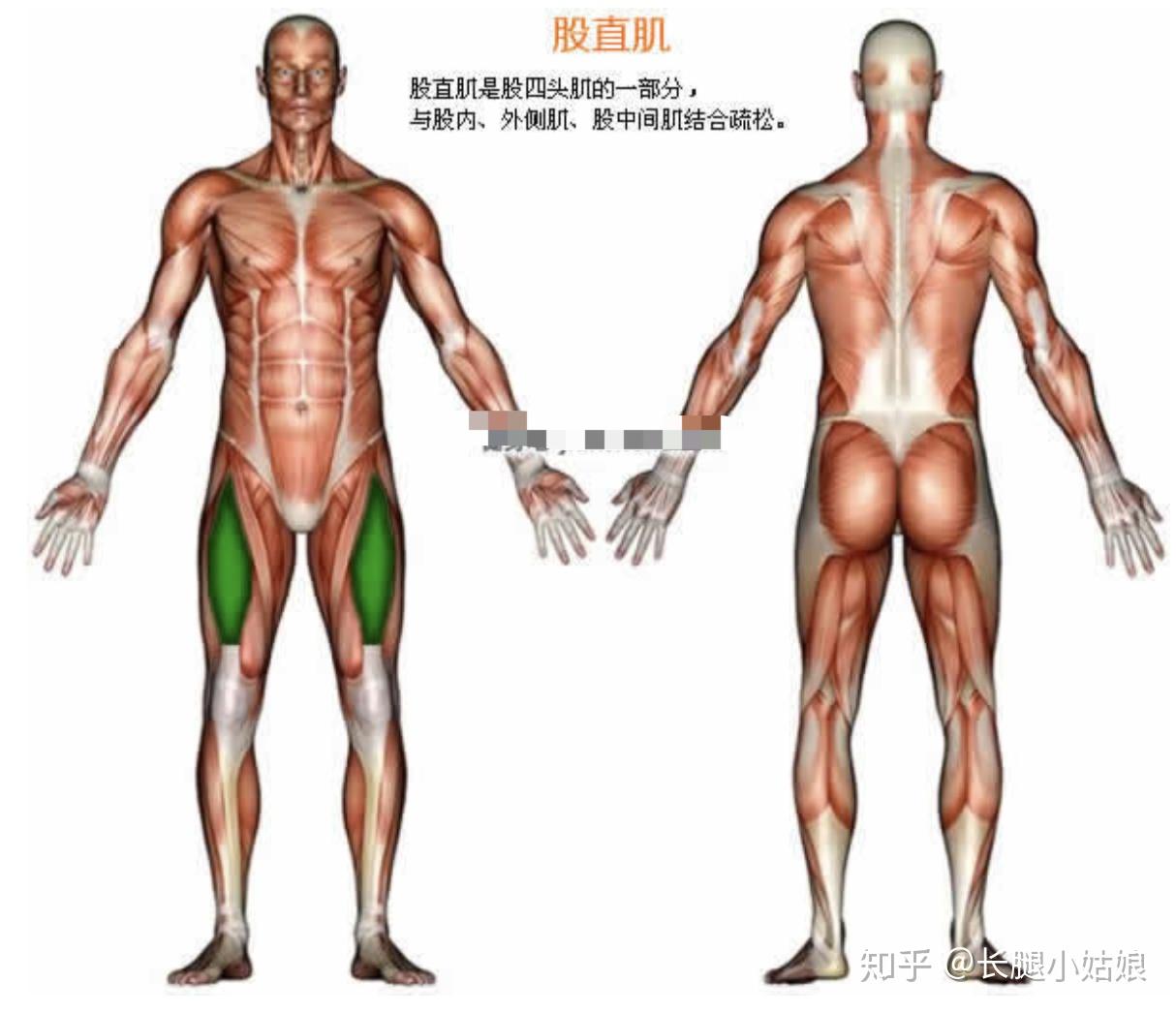 可調(diào)試啞鈴_可調(diào)節(jié)啞鈴安全嗎為什么_可調(diào)節(jié)啞鈴安全嗎