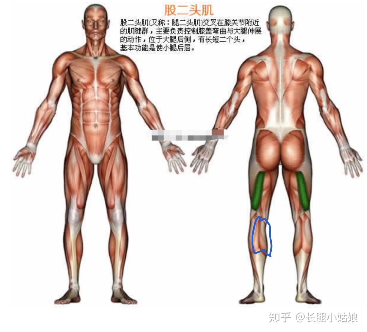 可調(diào)節(jié)啞鈴安全嗎_可調(diào)節(jié)啞鈴安全嗎為什么_可調(diào)試啞鈴