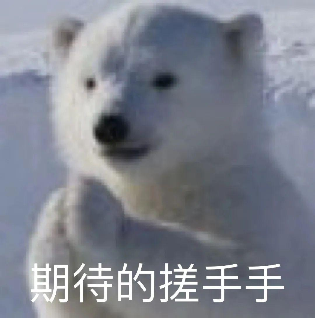 什么牌子的跑步機(jī)好_跑步機(jī)哪個(gè)牌子更好_牌子跑步機(jī)好用嗎