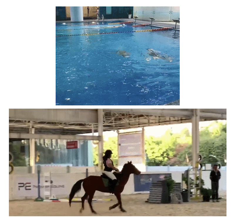 體操視頻教程_體育體操視頻_體育操視頻