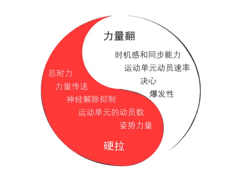 肌肉爆發(fā)力有關(guān)哪兩個(gè)因素_肌肉爆發(fā)力是什么意思_肌肉爆發(fā)力是指