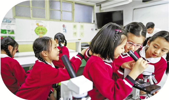 pg電子麻將胡了 “小升初”怎么選？老師們支招：擇校不從眾，體能很重要