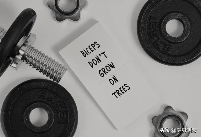 健身循環(huán)組是什么意思_健身循環(huán)訓(xùn)練_健身計劃一周表大循環(huán)