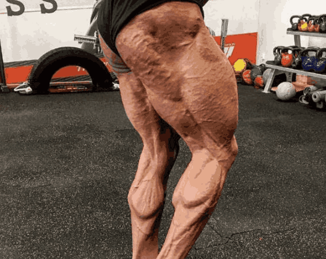 健身上半身_健身只練上半身的后果_健身每次練全身