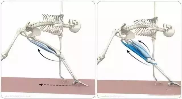 疼腳踝能運(yùn)動(dòng)好后會(huì)疼嗎_腳踝痛還繼續(xù)運(yùn)動(dòng)會(huì)怎么樣_運(yùn)動(dòng)后腳踝疼 多久能好