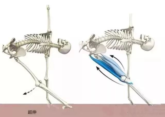 運(yùn)動(dòng)后腳踝疼 多久能好_腳踝痛還繼續(xù)運(yùn)動(dòng)會(huì)怎么樣_疼腳踝能運(yùn)動(dòng)好后會(huì)疼嗎