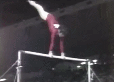 體操運(yùn)動(dòng)視頻_體操運(yùn)動(dòng)有哪些項(xiàng)目_運(yùn)動(dòng)體操