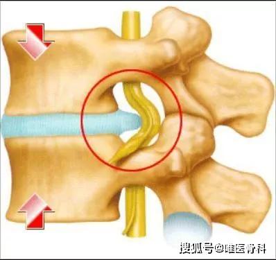 0重力跑步機_alterg反重力跑步機官網(wǎng)_國內(nèi)反重力跑步機