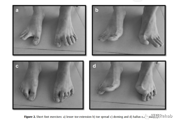 訓(xùn)練器綜合計(jì)劃怎么寫_訓(xùn)練器綜合計(jì)劃是什么_綜合訓(xùn)練器訓(xùn)練計(jì)劃