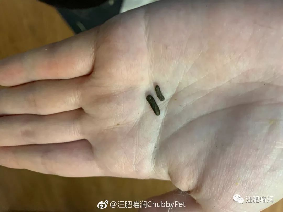 跑步機(jī)硅油什么牌子好_跑步機(jī)硅油什么牌子好_跑步機(jī)硅油什么牌子好