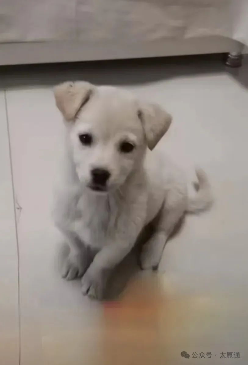 送人送健身手套_送手套健身人合適嗎_送手套健身人送什么好