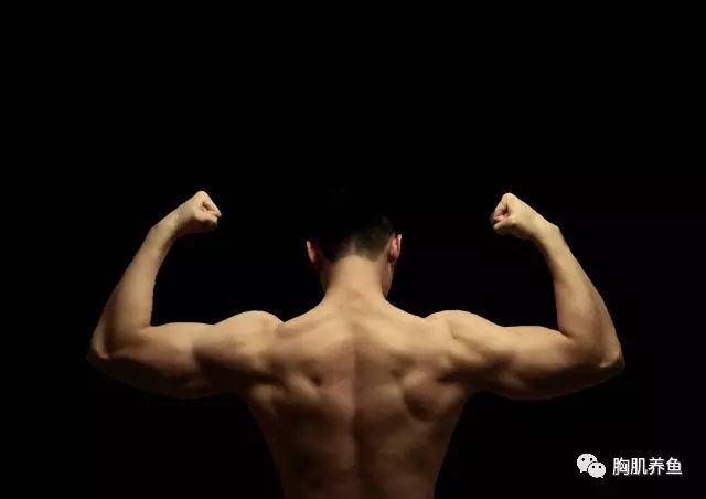 健身手套的作用_健身手套多少錢_健身手套知乎